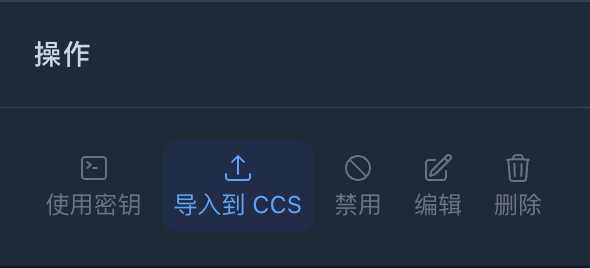 CCS 导入确认